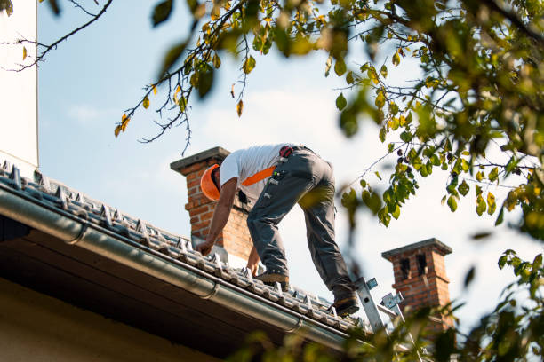 Best Metal Roofing Contractor  in Lyndhurst, VA