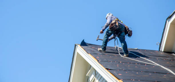 Best Sealant for Roof  in Lyndhurst, VA